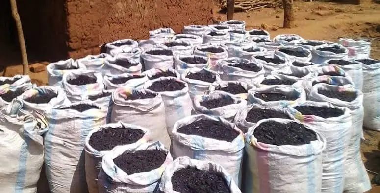 Dozens of woven sacks filled with finished biochar, stacked in the yard at the production site